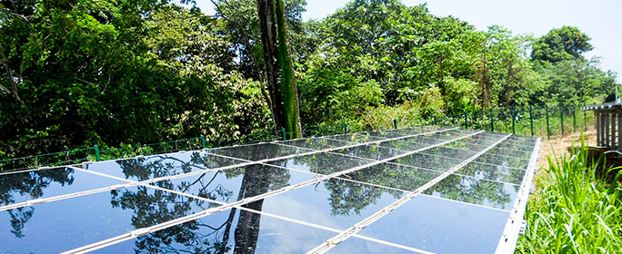 Panneau solaire - Switch energie Guadeloupe