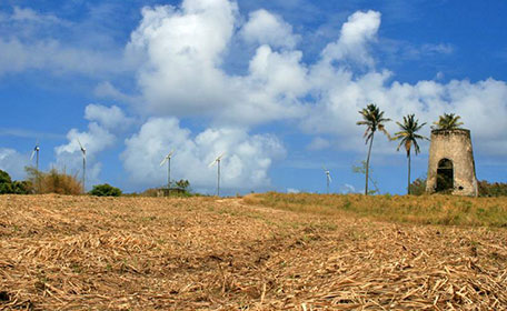 Eoliennes - Switch energie Guadeloupe